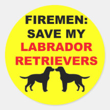 Fireman Rette meinen Labrador Retrievers
