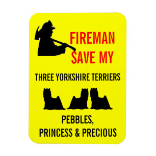 Fireman Rettete die Sicherheit meiner drei Yorkshi Magnet