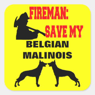 Fireman Rettete meine zwei belgischen Hunde von Ma Quadratischer Aufkleber