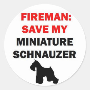 Fireman Rettete meinen Miniaturschnauzer Runder Aufkleber