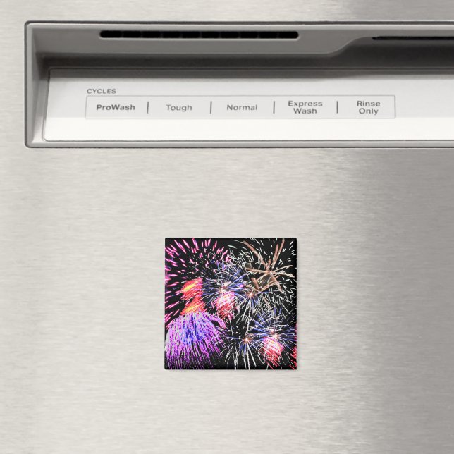 Fireworks Display Magnet (In Situ (Geschirrspüler))