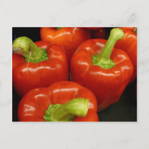 Firey Red Paprikaschoten Postkarte