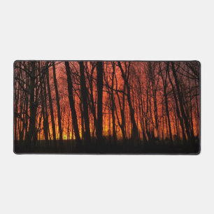Firey Sunset Forest Schreibtischunterlage