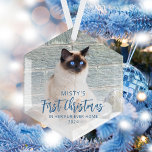 First Christmas Forever Zuhause Pet Foto Blue Ornament Aus Glas<br><div class="desc">Erinnern Sie sich an das erste Weihnachtsfest Ihres Tieres in ihrer neuen Zuhause mit diesem modernen Sakraldekor. Die Worte "Erste Weihnachten" erscheinen in elegantem blauen Schrift. Ersetzen Sie das Beispielbild durch ein Foto Ihrer Katze oder Ihres Hundes und fügen Sie ihren Namen und das Jahr in blauen Sans Serif Schriftart....</div>