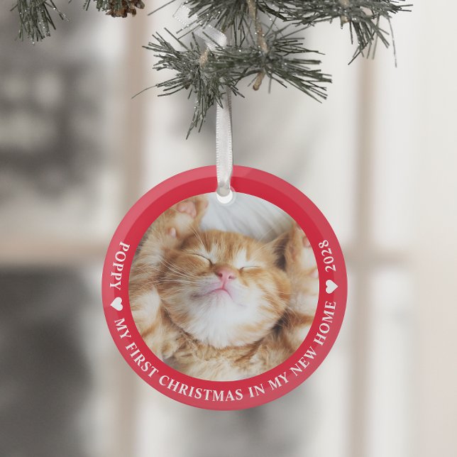 First Christmas Kitten Cat Foto Ornament Aus Glas (Von Creator hochgeladen)