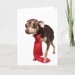 first day, new job karte