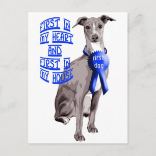First Dog Italian Greyhound Postkarte