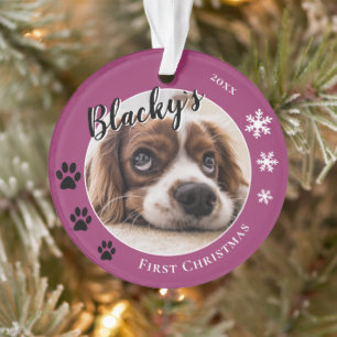 First Puppy Christmas Rustic Chien Nom Photo