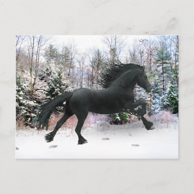 "First Snow Run" Postkarte (Vorderseite)