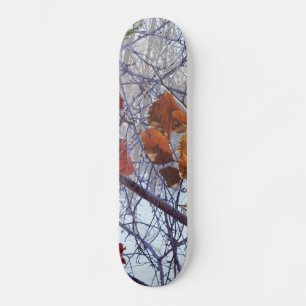First Snow Winter Tarnung Style Skateboard