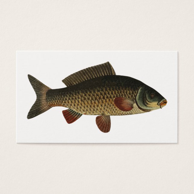 Fisch (Vorderseite)