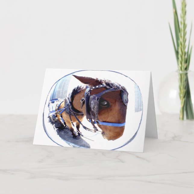 Fisch-Auge Pferd und Wagen Karte (Vorderseite)
