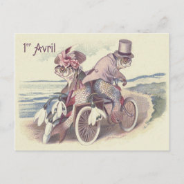 Fisch Couple Bicycle Sea Lily Postkarte
