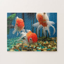 Fisch-Geschichten