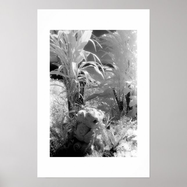 Fisch im Garten von Eden Poster (Vorne)