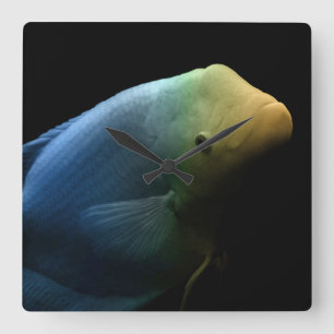 Fisch im Tank - Kunstfotografie Quadratische Wanduhr