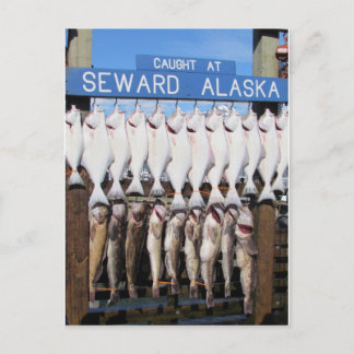 Fisch in Seward, Alaska Postkarte