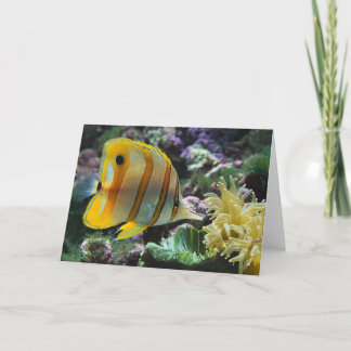 Fisch Karte