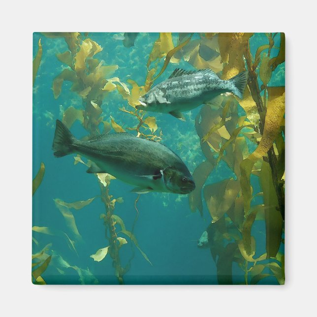 Fisch Magnet (Vorne)