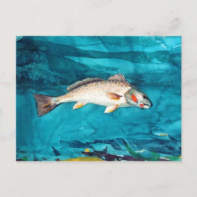 Fisch Meer von Winslow Homer Postkarte (Vorderseite)
