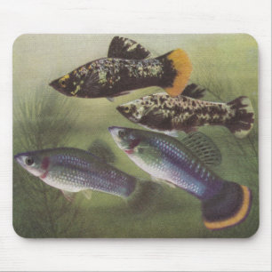 Fisch - Mollies - Poecilia sphenops Mousepad