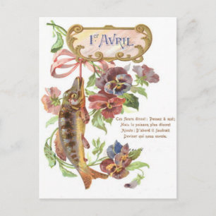 Fisch Morgenröte Postkarte