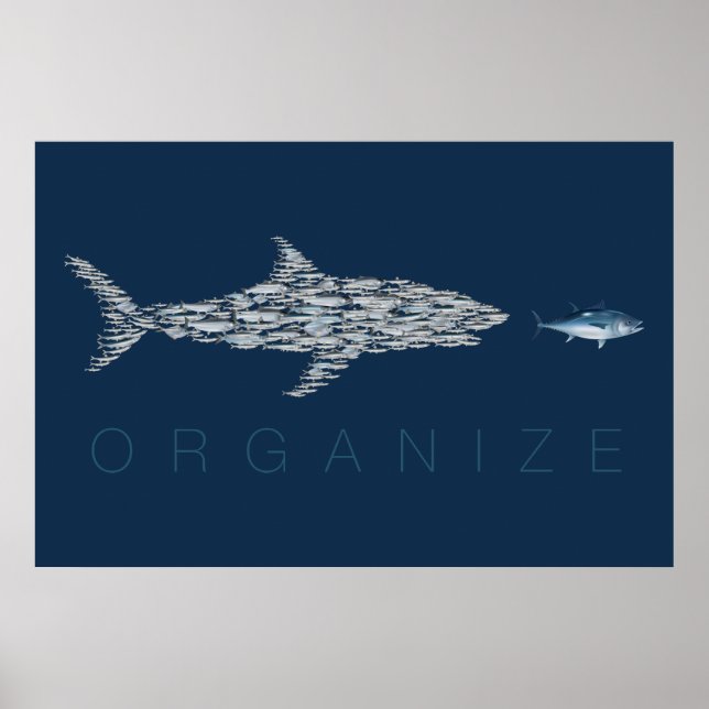 Fisch organisieren poster (Vorne)