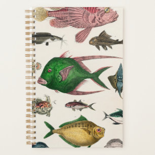 Fisch, Ozean, niedlich, Meer, Wasser, Tier, Fische Planer