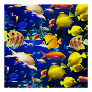 Fisch Poster Strandhaus Poster