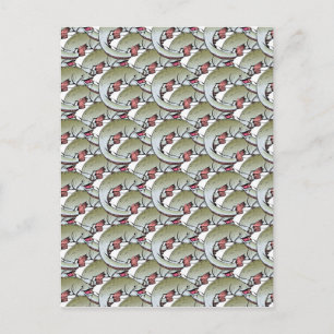 Fisch Postkarte