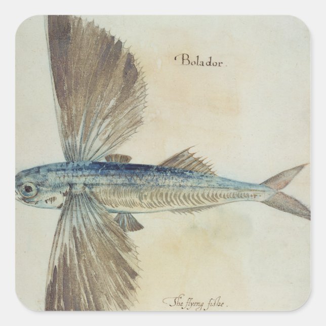 Fisch Quadratischer Aufkleber (Vorderseite)