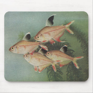 Fisch - Rosy Tetra - Hyphessobrycon rosaceus Mousepad