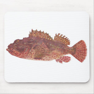 Fisch - Roter Rock Cod - Scorpaena cardinalis Mousepad