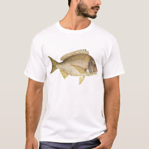 Fisch - Schwarzer Bream - Mylio australis T-Shirt