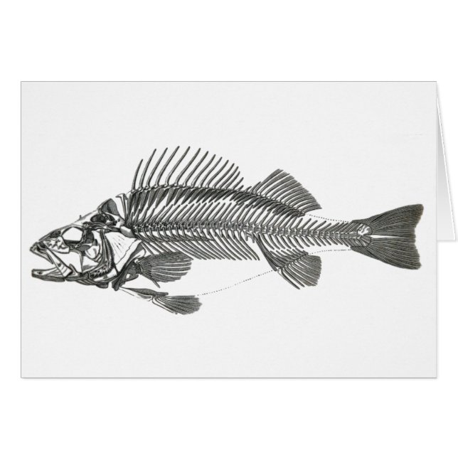Fisch-Skelett (Vorderseite (Horizontal))