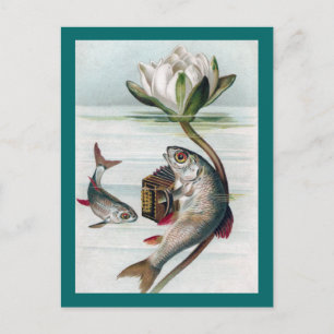 Fisch spielt Akkordeon und Wasserlilie Postkarte