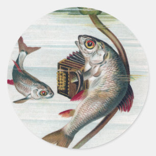 Fisch spielt Akkordeon und Wasserlilie Runder Aufkleber