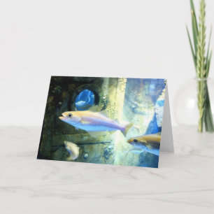 Fisch und Bulle Feiertagskarte