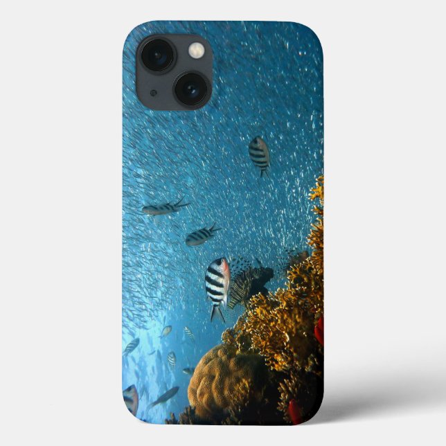 Fisch, Unterwasser, Korallen Case-Mate iPhone Hülle (Rückseite)