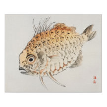 Fisch von Kōno Baire