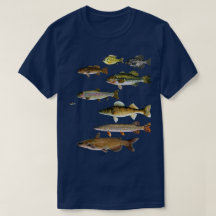 Fisch Walleye Crappie Bass