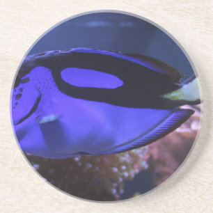 Fischangeln Meer benutzerdefiniert personalisieren Sandstein Untersetzer