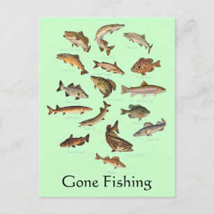 Fischart "Gone Fishing" Postkarte