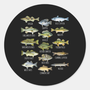Fischarten Biologische Arten von Fischen aus Süßwa Runder Aufkleber