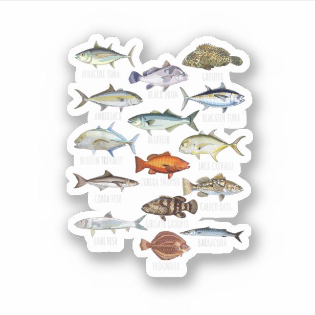 Fischarten Biologische Arten von Salzwasser Fischf Aufkleber (Vorderseite)