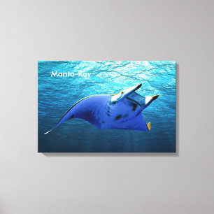 Fischbild für verpackte Leinwand