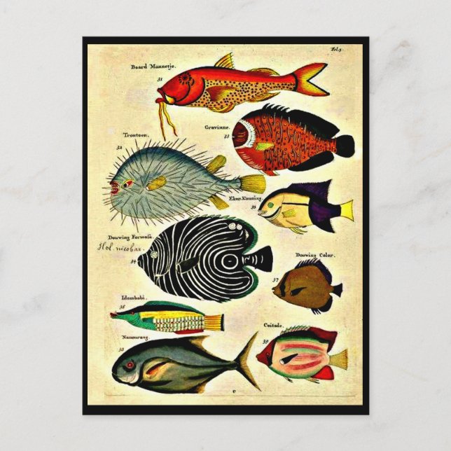 Fischdruck Postkarte (Vorderseite)