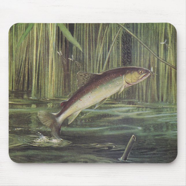 Fische - Bachforelle - Salmo trutta Mousepad (Vorne)