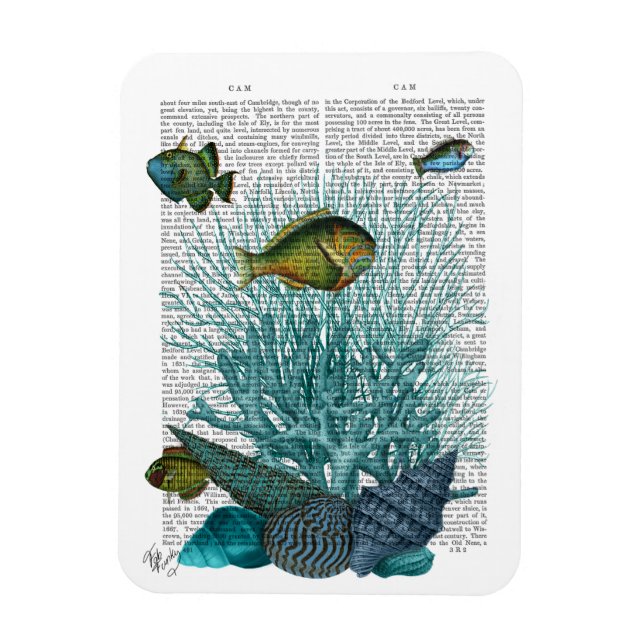Fische, blaue Muscheln und Korallen Magnet (Vertikal)