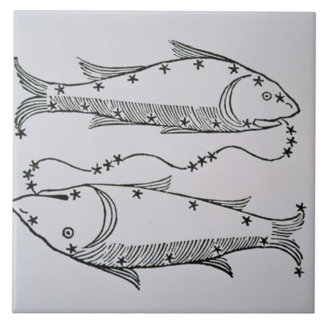 Fische (die Fische) eine Illustration vom 'Dichter Fliese (Vorderseite)